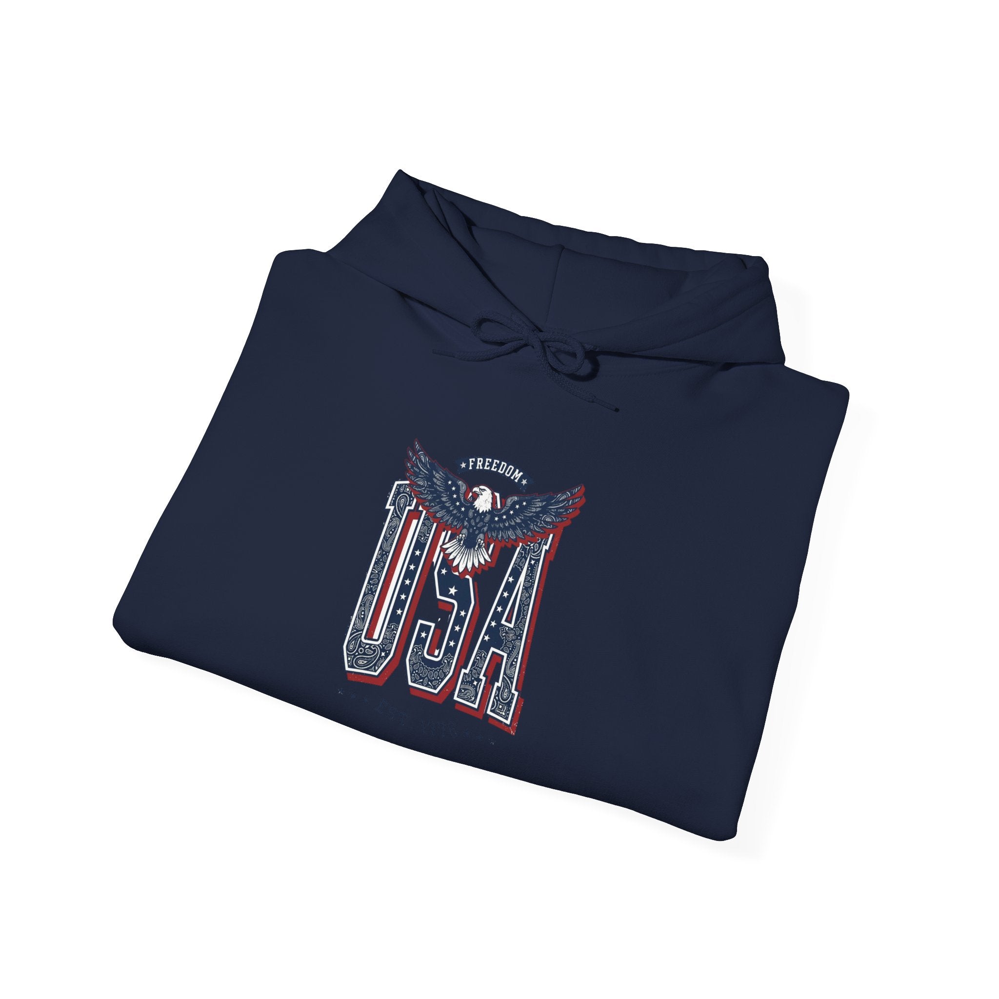 USA Eagle Graphic Hoodie | 4th of July Vintage Americana, Stars & Stripes
